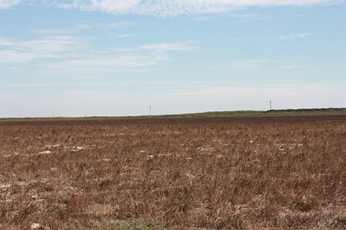 Property photo 91 - LAND AUCTION, 3255+/- Acres offered in 13 Tracts